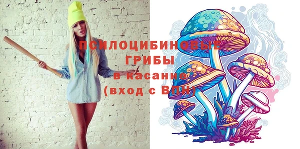 ГАЛЛЮЦИНОГЕННЫЕ ГРИБЫ Нягань