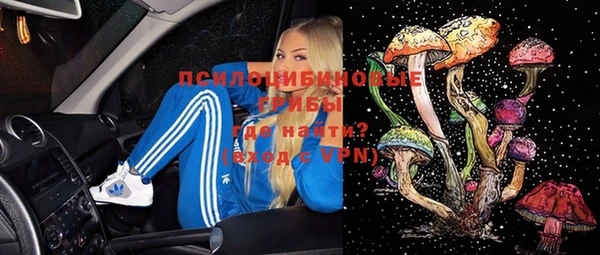 крисы Абинск
