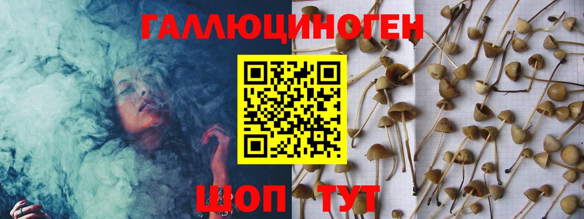 Псилоцибиновые грибы MAGIC MUSHROOMS Кисловодск