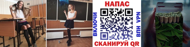 купить наркотики цена  Кисловодск  Канабис конопля 