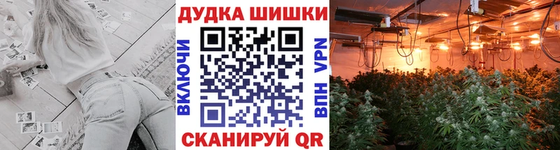 Бошки марихуана SATIVA & INDICA Кисловодск